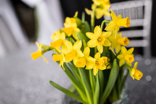 Corporate Event Photography Kitchener