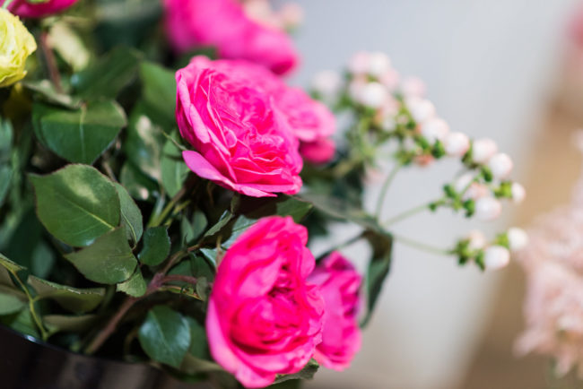 Corporate Event Photography Kitchener