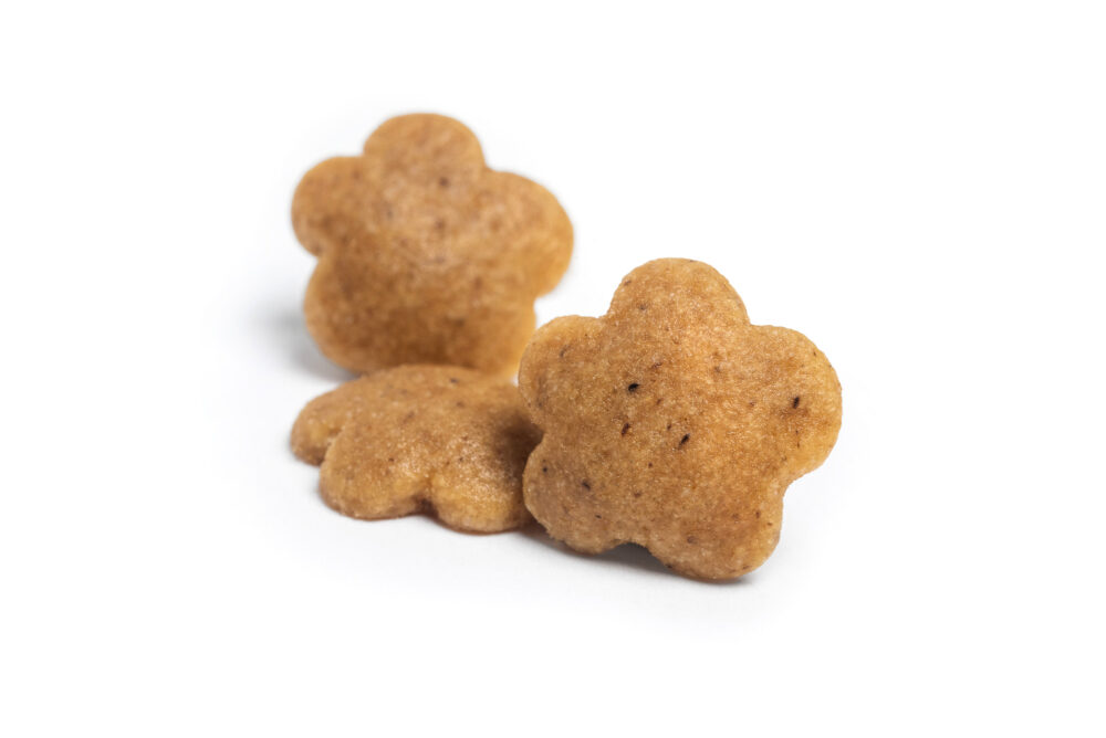 Amazon product photographer Kitchener