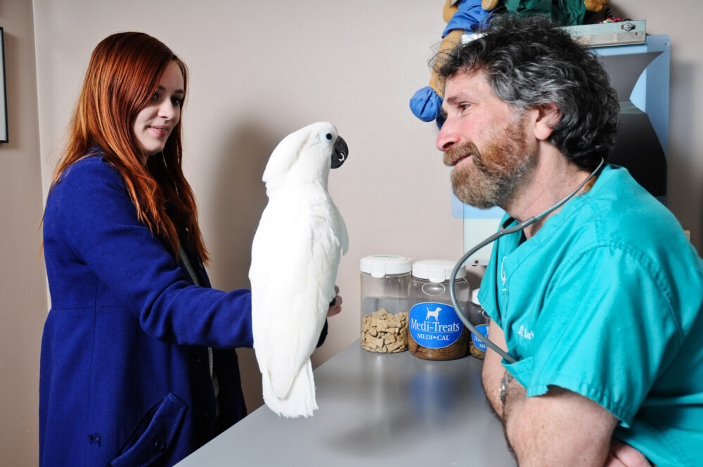 Veterinary Clinic Branding Photography