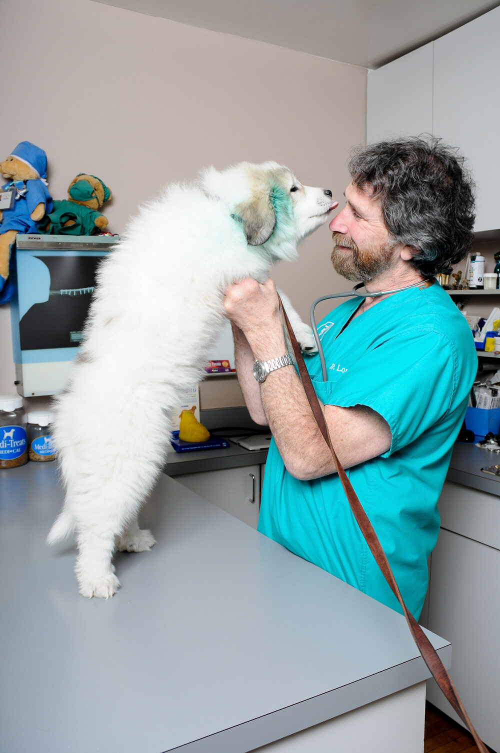 Vet clinic photographer