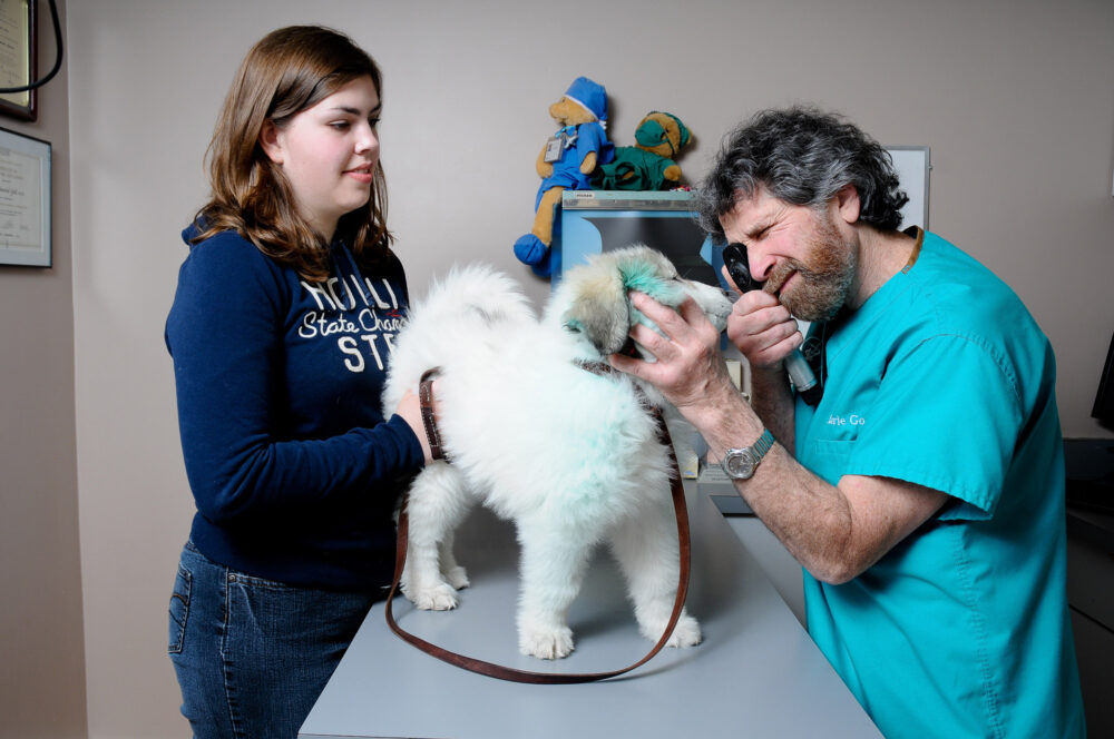 Vet clinic photography