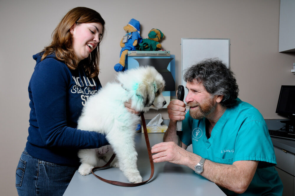 Vet clinic photography