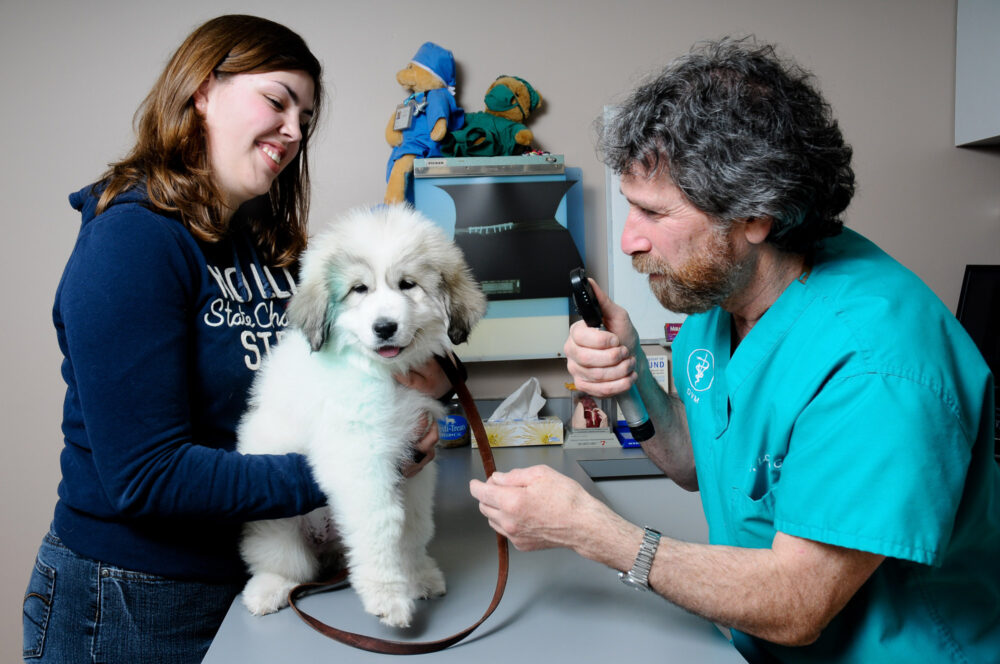 Vet clinic photography