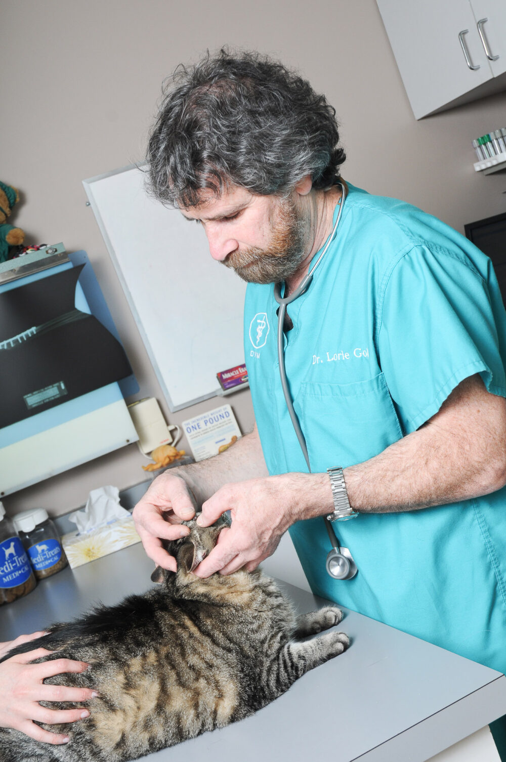 Vet clinic photography