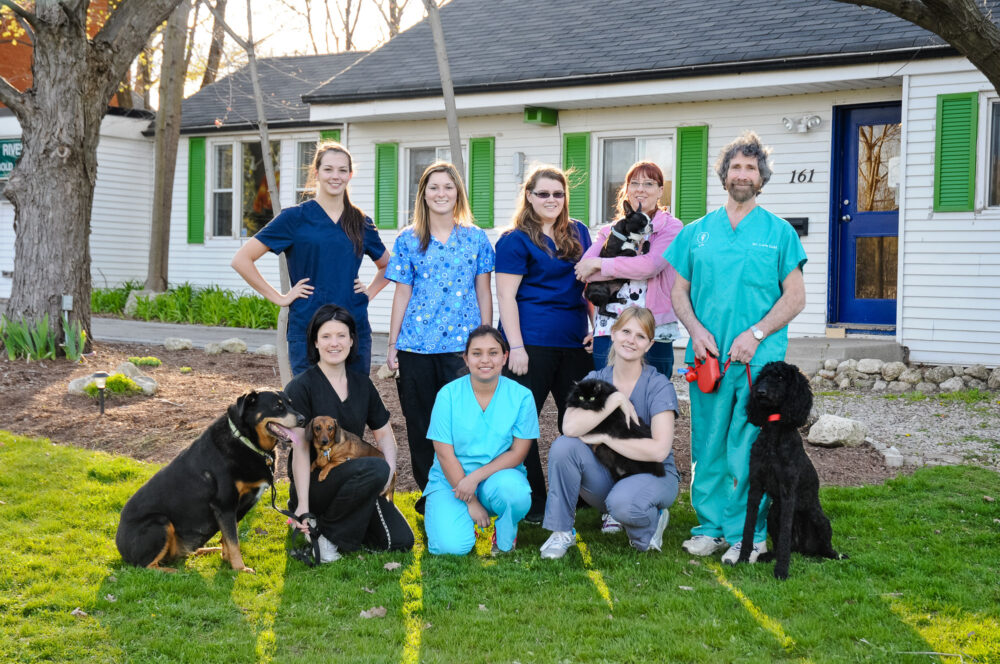 Vet clinic photography