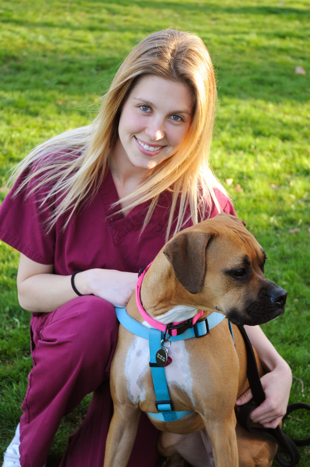 Veterinary clinic photographer