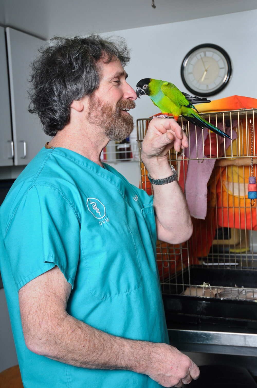 Veterinary clinic photographer