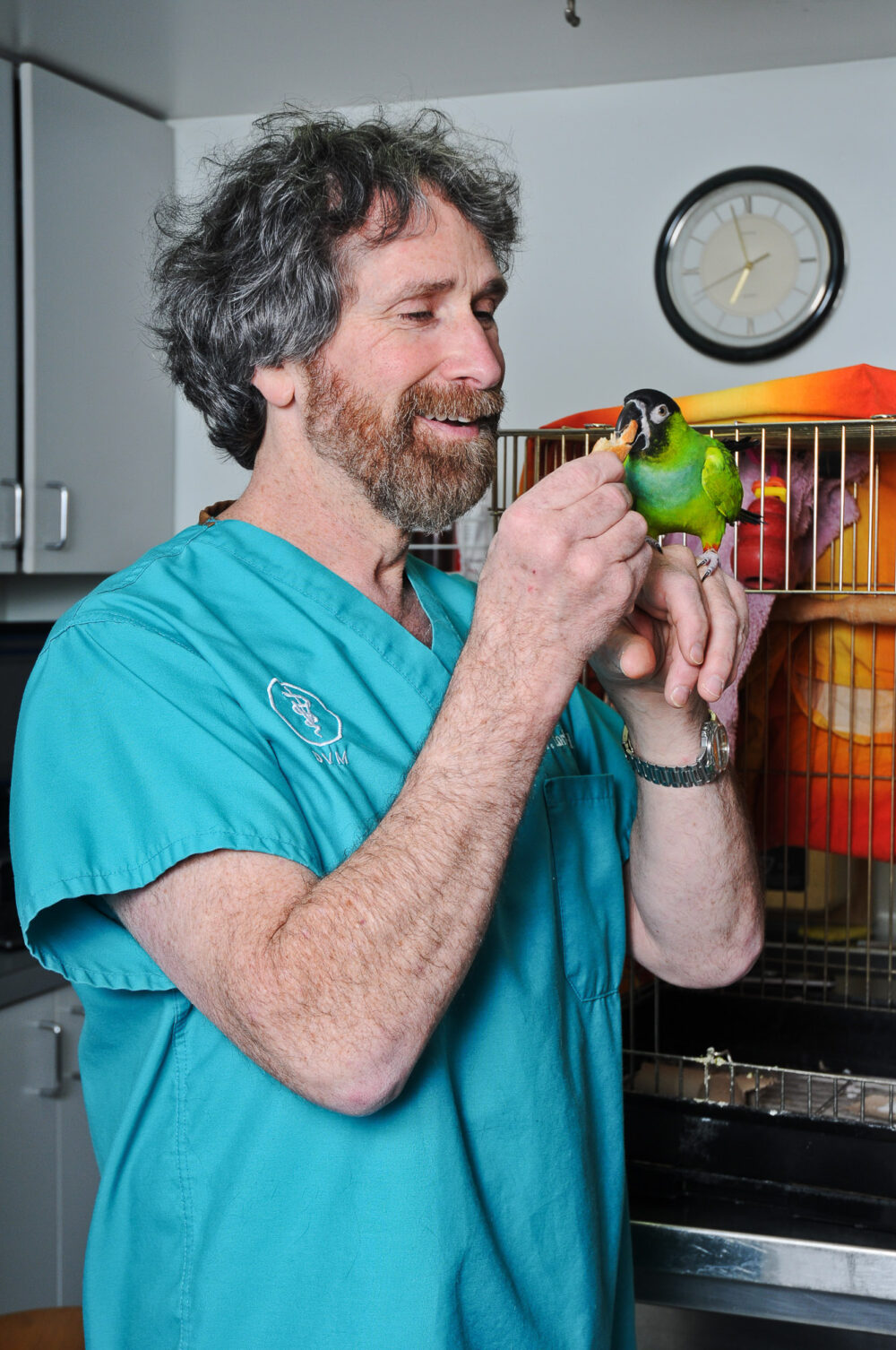 Veterinary clinic photographer