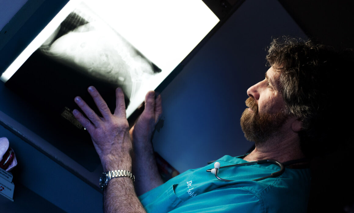 Veterinary Clinic Branding Photography