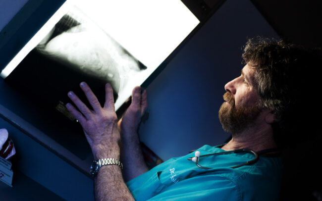 Veterinary Clinic Branding Photography